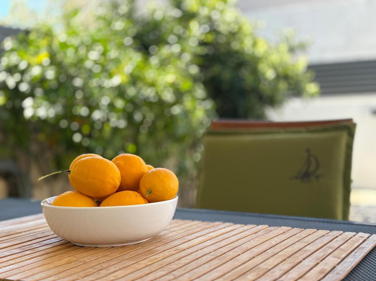 Spacious Chic Residence Zadar Ngoại thất bức ảnh